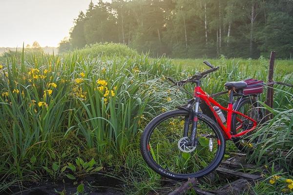 bike in the grass